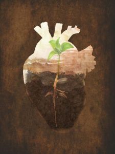 heart and plant