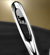 camel through the needle eye