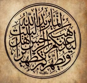 انما يريد الله ليذهب عنكم الرجس أهل البيت