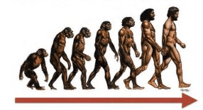evolution of mankind.jpg