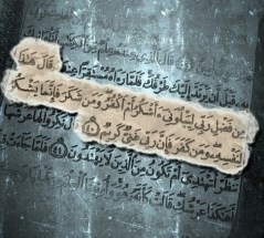 هذا من فضل ربي