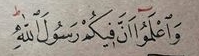 واعلموا أن فيكم رسول الله