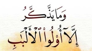 وما يذكر إلا أولو الألباب