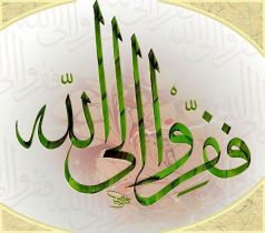 ففروا الى الله