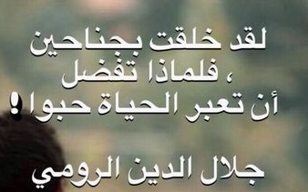 لقد خلقت بجناحين