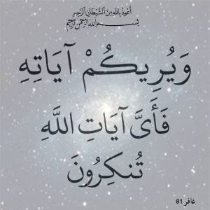 ويريكم آياته