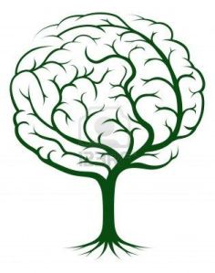 brain tree