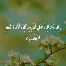 والله غالب على أمره