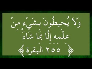 ولا يحيطون بشيء من علمه