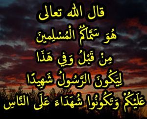 وَفِي هَذَا لِيَكُونَ الرَّسُولُ شَهِيدًا عَلَيْكُمْ