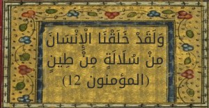 وَلَقَدْ خَلَقْنَا الْإِنْسَانَ مِنْ سُلَالَةٍ مِنْ طِينٍ