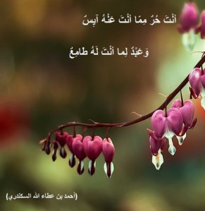 حكمة عطائية