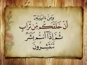 خَلَقَكُمْ مِنْ تُرَابٍ