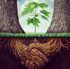 شجرة آدم وشجرة الإسلام