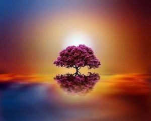 شجرة في السماء