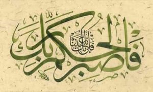 فاصبر لحكم ربك