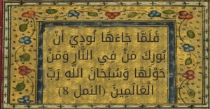 بورك من في النار ومن حولها