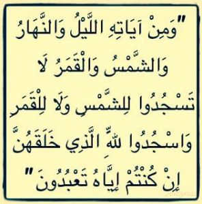لَا تَسْجُدُوا لِلشَّمْسِ وَلَا لِلْقَمَرِ وَاسْجُدُوا لِلَّهِ الَّذِي خَلَقَهُنَّ