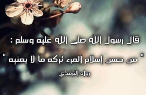 من حُسن إسلام المرء لزومُه ما يعنيه