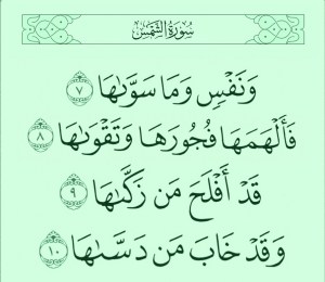 ونفس وما سواها