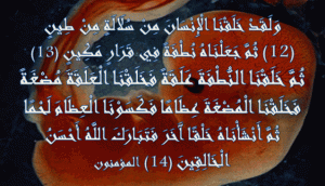 وَلَقَدْ خَلَقْنَا الْإِنْسَانَ مِنْ سُلَالَةٍ مِنْ طِينٍ