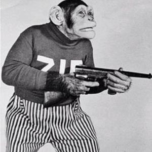 monkey with a gun
