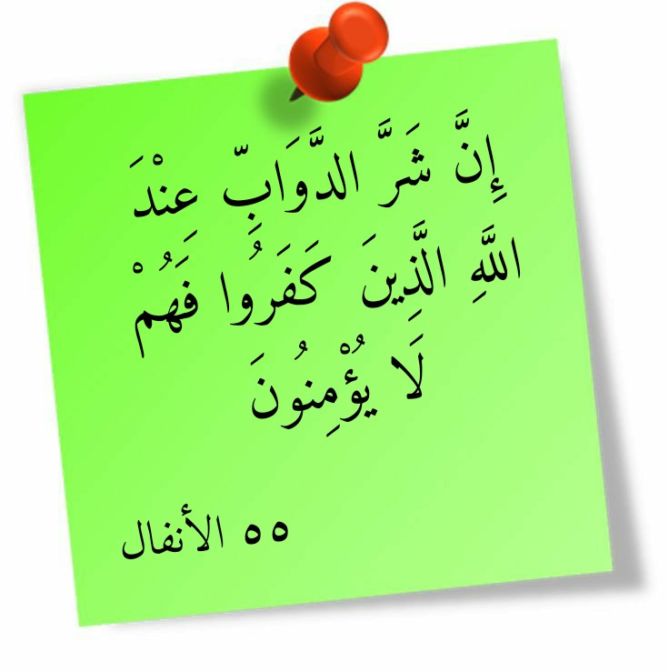 في معنى “شر الدواب” في القرآن العظيم – التصوف 24/7